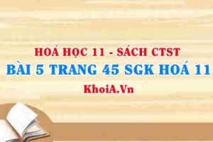 Bài 5 trang 45 SGK Hóa 11 Chân trời sáng tạo